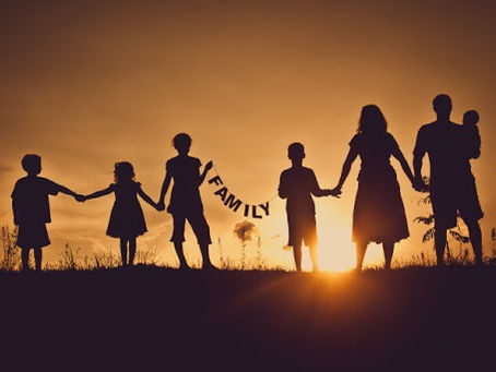 O NÚCLEO FAMÍLIA NO CONFINAMENTO