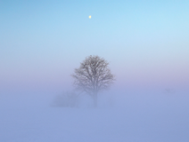 Blog - 'When the fog lifts' - Howard Gordon