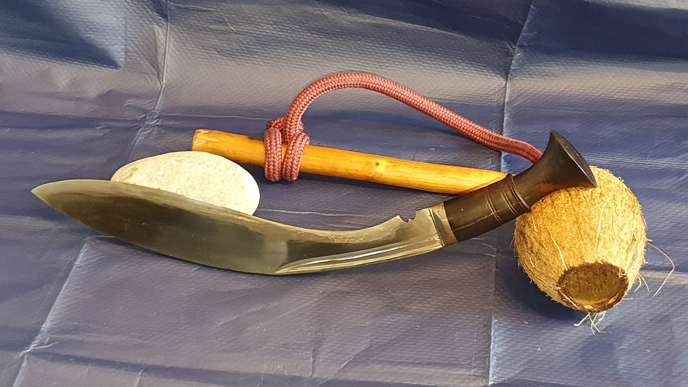 A monkey trap (a coconut roped to a stake) with a kukri knife balanced against a stone. Blue background.