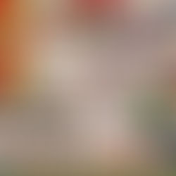 Armazém Paraíba #divulgaçãoJoãoDourado