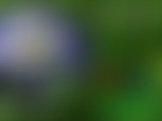 HOY SE CELEBRA EL DÍA DEL PLANETA TIERRA.