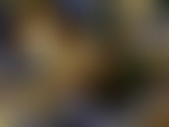 本気の治療院経営実践講座
~~失敗例から学ぶ成功の秘訣~~