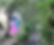 Camping Las Cuevas (Cat. 2ª)