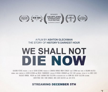 We Shall Not Die Now documentary film review