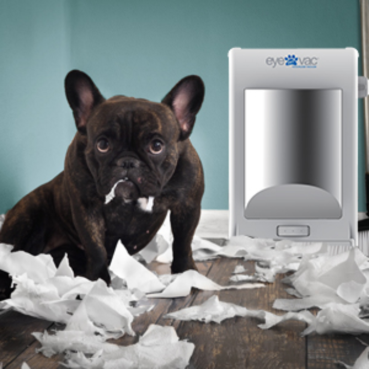 EyeVac Pet Touchless Vacuum Stationary Vacuum for Pet Hair & Dirt/Dust