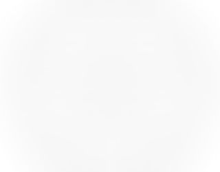 祇園御旅所と「とミくばり」の近世―大経師降屋内匠以前― 村上紀夫