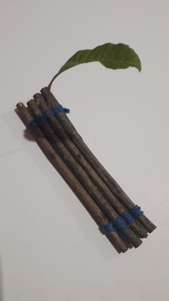 ree