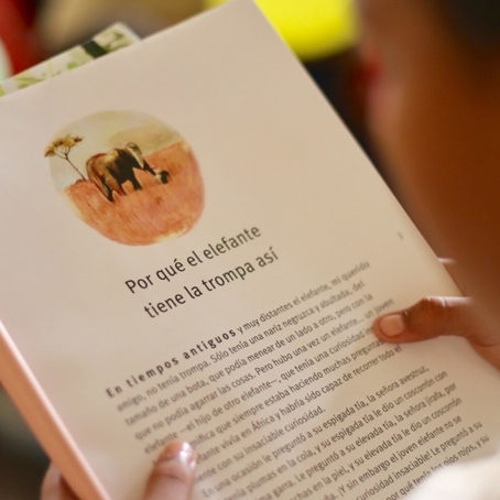Bibliotecarios de Fundación y Plato representan al Magdalena en la Feria Internacional del Libro