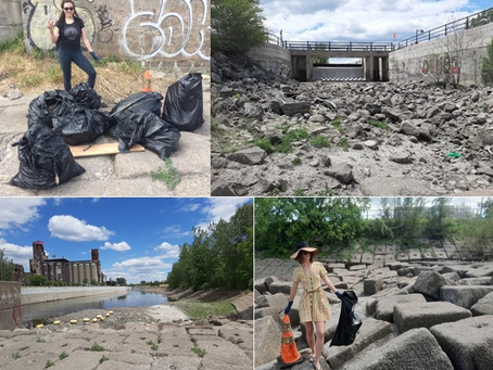 Cleaning Your Local Spaces: ''Shaucha'' and Spring