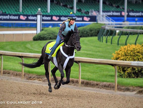 Win Win Win Looks to Win Win Win the Preakness Stakes