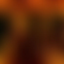 Quase famosa, meu momento global e meus meses de fama.