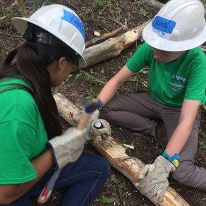 CDC Crew takes on Mt. Elbert! 