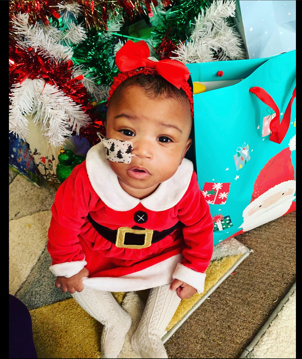 Merry Christmas from this cutie..🥰 content media