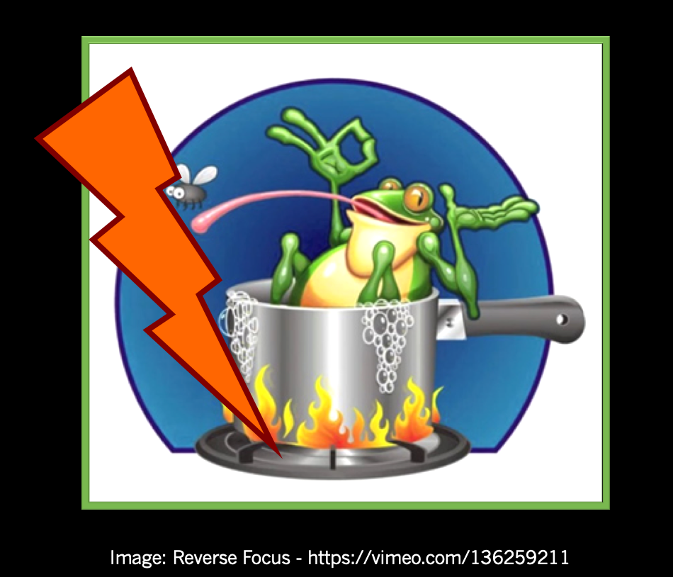 Flash Boiled Frogs™ in the Era of Exponential Change Are You Feeling