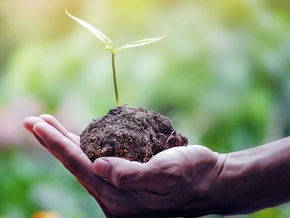 Los recursos naturales del planeta para el año 2019 ya están agotados