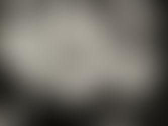 MON inaugura mais duas exposições virtuais no Google Arts & Culture