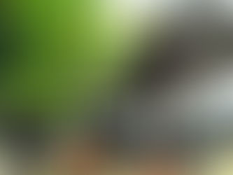 Bucktown's Own Thunny Brown Drops Video For New Single "Evagladez U.S.A." 