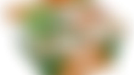 季節外れの、、、