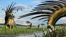 Descoberta na Argentina nova espécie de dinossauro saurópode com espinhos