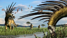 Descoberta na Argentina nova espécie de dinossauro saurópode com espinhos