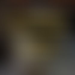 สายการบินนิวเจนรับสมัคร IT