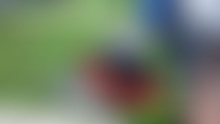 Citroën lance SUVirtual ou comment découvrir les C3 Aircross et C5 Aircross en réalité virtuelle