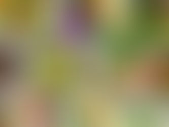 Your Guide to B-Vitamins