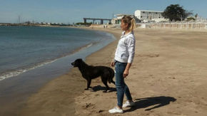 La verdad detrás del viral sobre la muerte de Comando, el perro que seguía al ARA San Juan