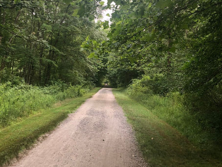 Picking a path for 2022