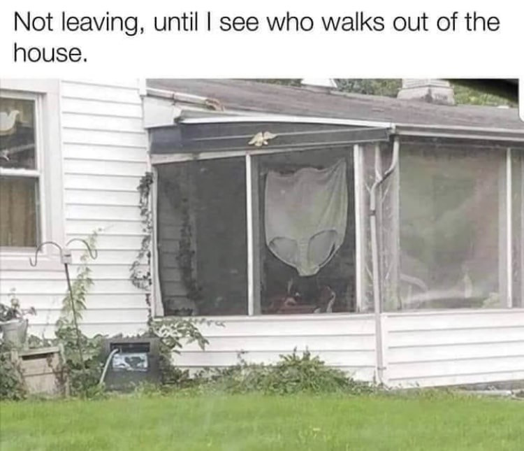 Not leaving until I see who walks out of the house