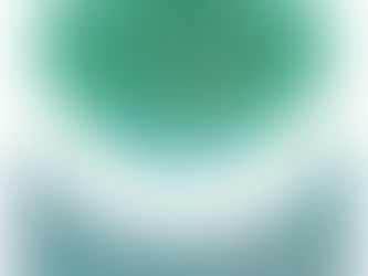 水野 翠 展