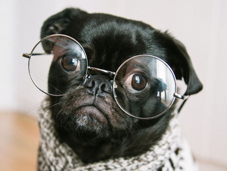 How to choose the best glasses for high prescriptions