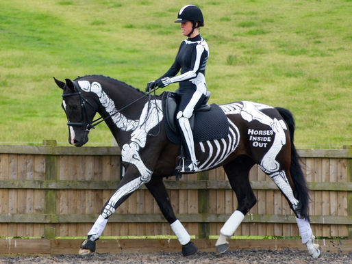 The Paces: Part 2 - Trotting Tendencies