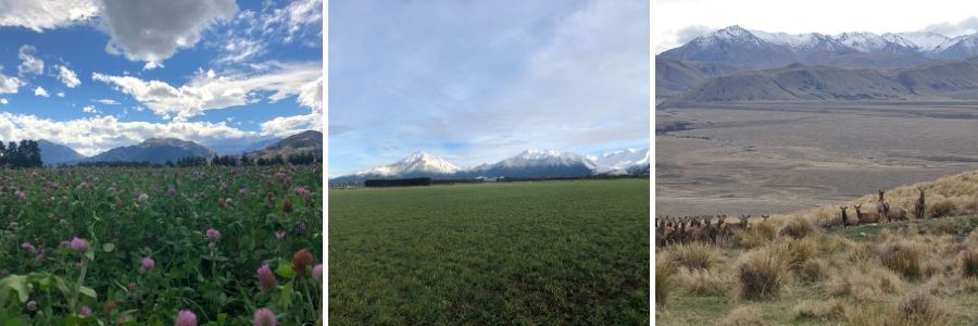 Stephanie Schneider reports on the first day of Glen Whyte’s USA sales tour content media