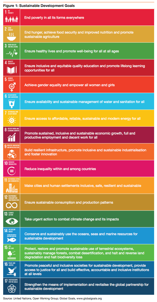 UN Sustainable Development Goals 2030