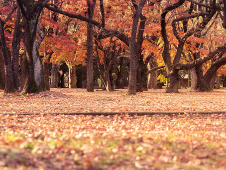 Aaaaahhhh Autumn