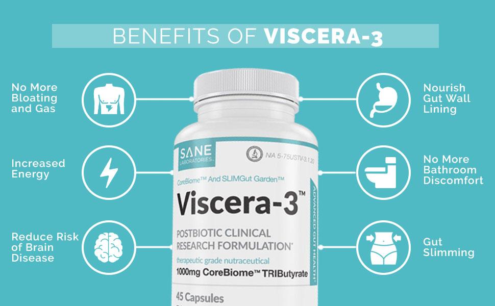 Viscera 3 Reviews content media