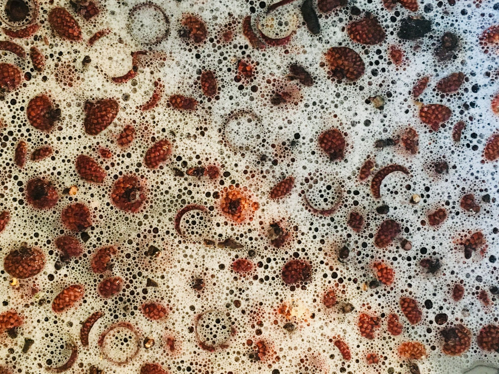 Collecting acorn caps in a brown paper bag