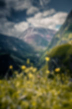 ree