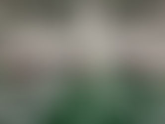 先導太陽能模組串焊機順利Move-in來台