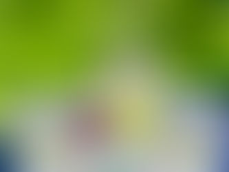 Classic Lime Margaritas