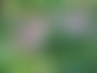 Time to look forward