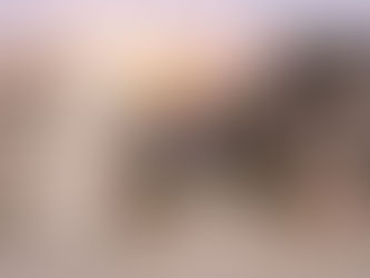 The Hittites - Quiet Pioneers of Mesopotamia