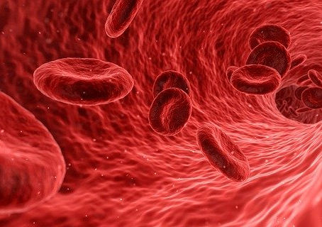 Womb Wellness as an indicator of Immune system wellness