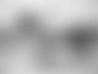 Busher: The Little Filly Who Could