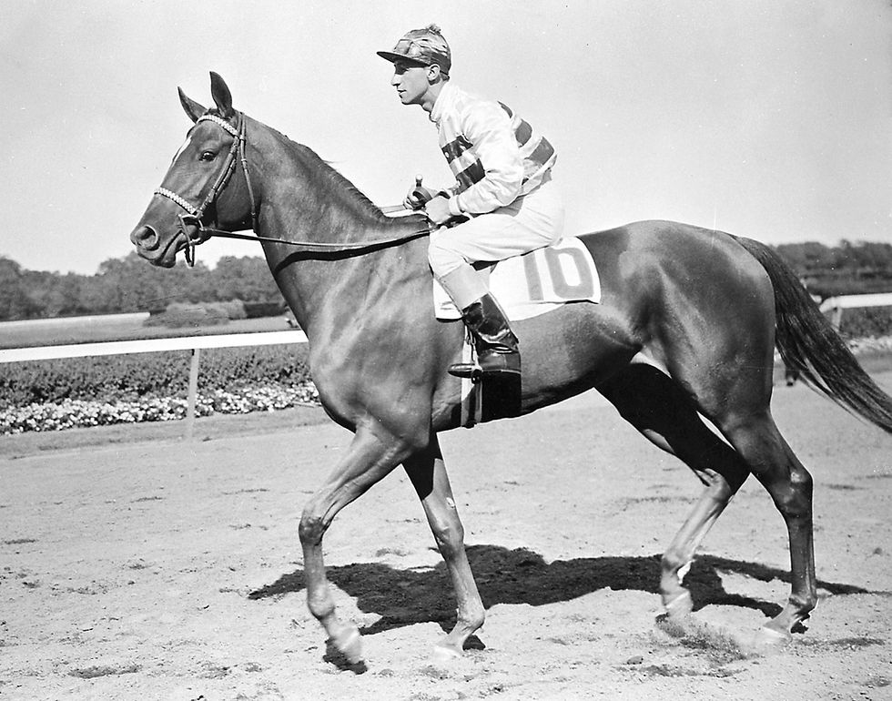Busher, 1945 Horse of the Year. Daughter of War Admiral.