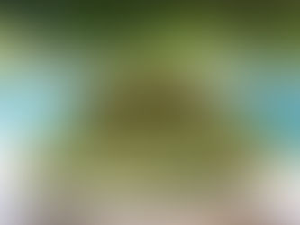 Nidhi's Keto Kitchen: Kale Chips