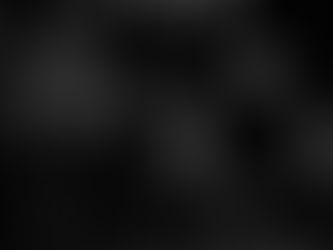 Mudhoney Jams With A Special Guest And Rocks Millvale,PA