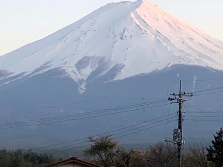 桜色の富士山
