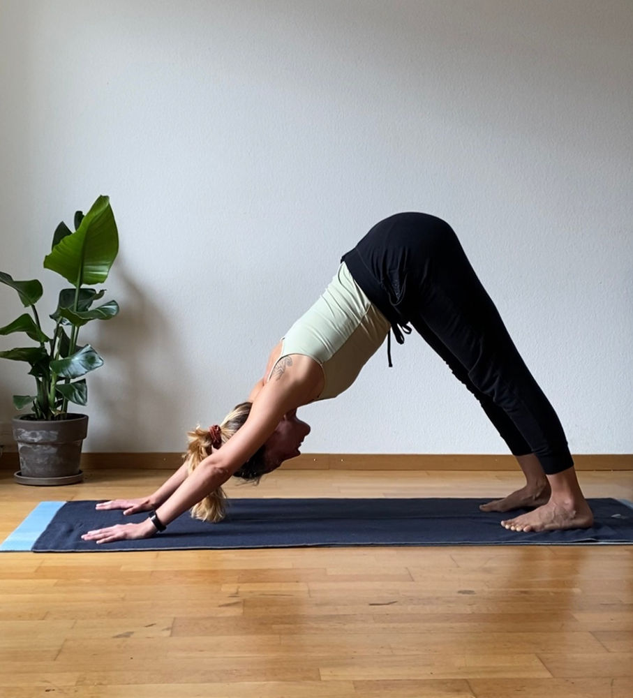 Downward Facing Dog Meaning Downward Facing Dog Meaning